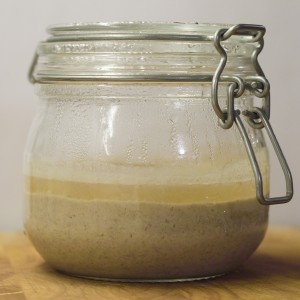 Sourdough Starter