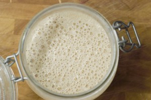 Sourdough Starter