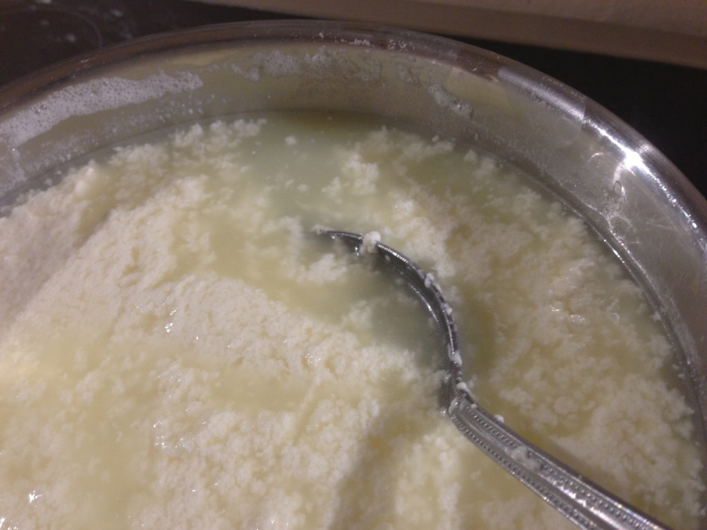 The curds separate out from the whey