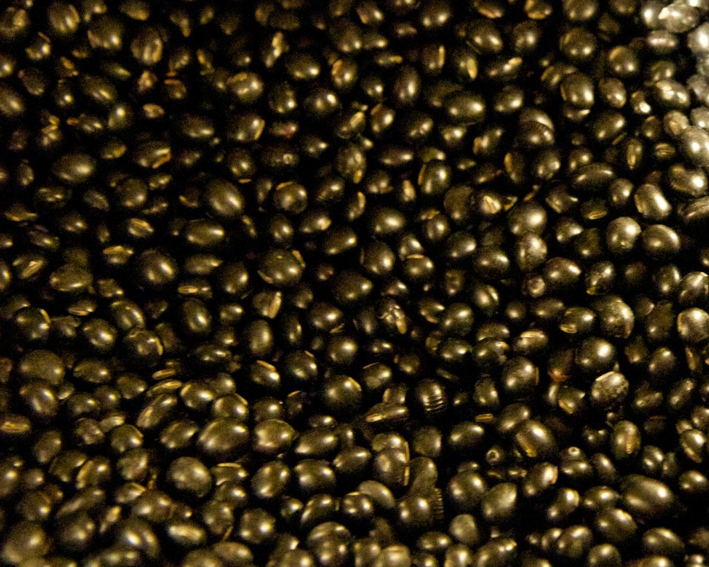 Black Soy Beans