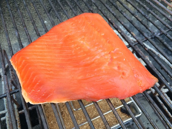 Salmon, ready for smoking