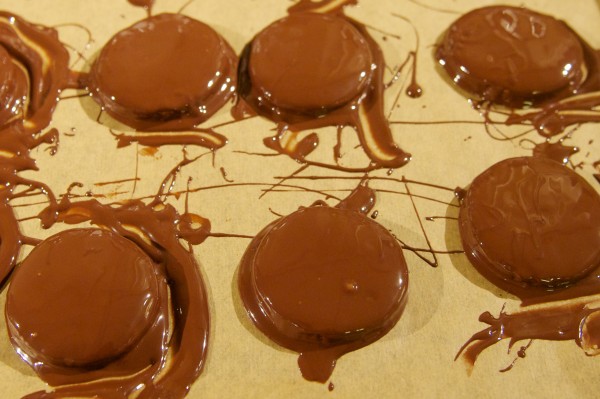 Chocolate-dipped Biscuits