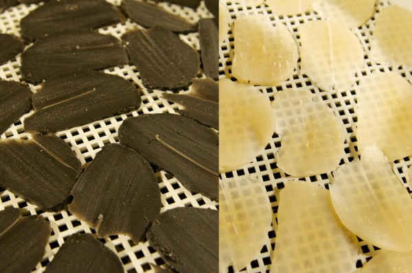 Dried Prawn Crackers in Dehydrator