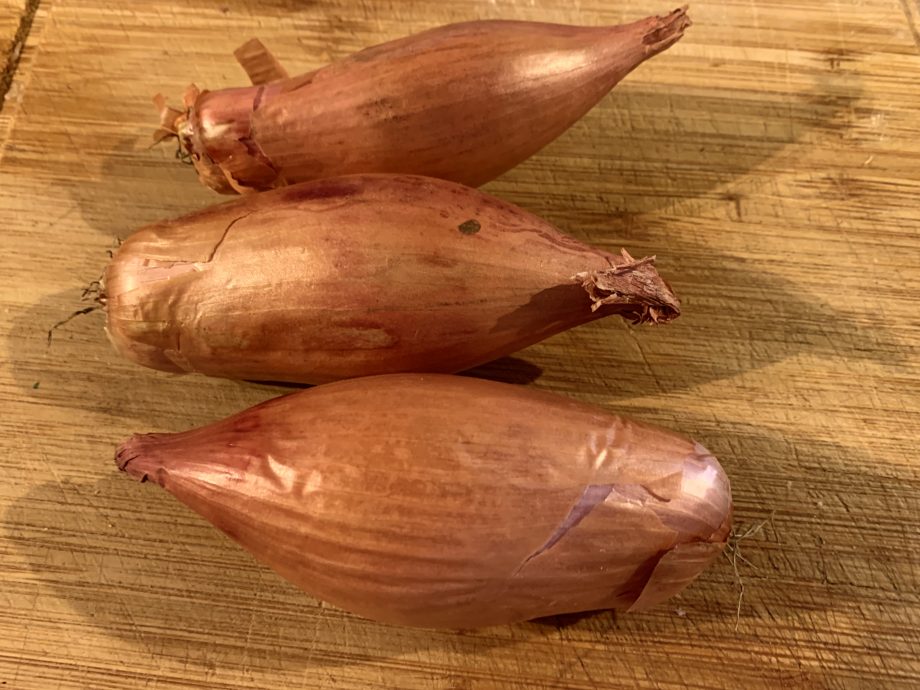 Echalion Shallots